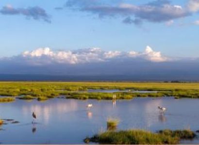 7 Days Safari from Nairobi to Masai Mara, Lake Nakuru, Amboseli, Tsavo West and Tsavo Tour