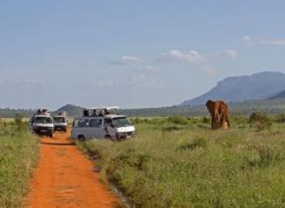 3 Days Mombasa Safari to Tsavo East and Amboseli Ending in Nairobi Package