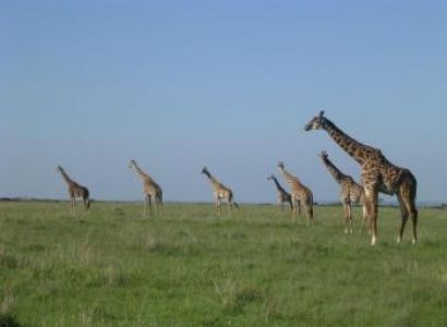 Africasights Adventures Camping Safaris Package