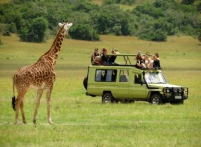 Kruger Park Safari Tour