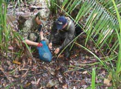 Endangered Species Day Tours Package