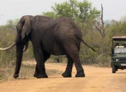 Moholoholo and Panorama Highlights Combo Day Tours Package