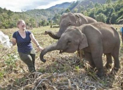 Elephant Interaction and Ride Package
