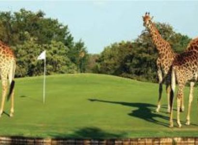 Golf Safari in Kenya Package