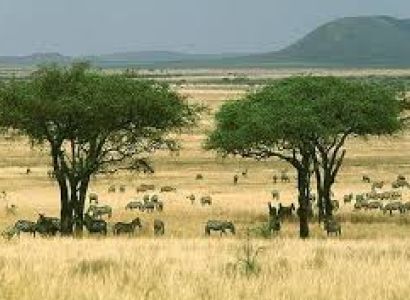 The Jewel Tour Classic Package