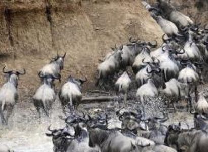 4 Days Nakuru Tour Package