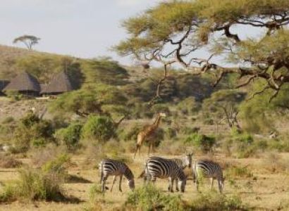 4 Days Amboseli Safari Package
