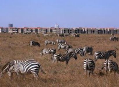 Full Day Nairobi Tour Package