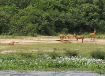 African Nile Safari Package