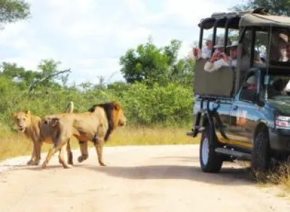 Kruger National Park Guided Drives Package