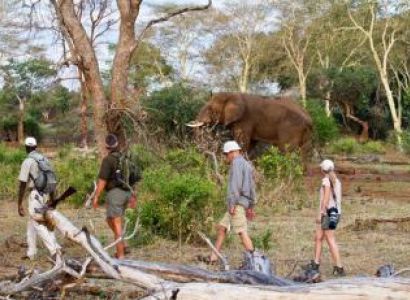 Kruger National Park Guided Walks Package