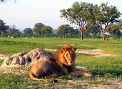 Hwange Day Trip Package
