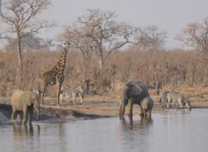 Victoria falls to Hwange National Park Package
