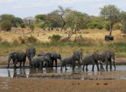 Two Nights Three Days Safari Package