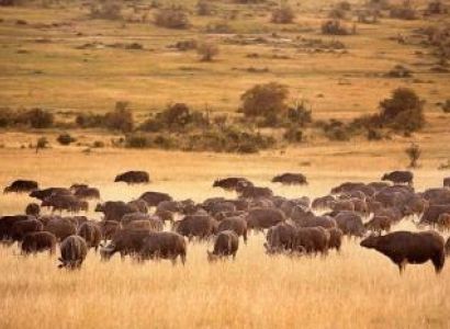 Two Days Two Nights Safari Package