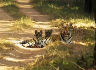 Shillong, Cherrapunjee- Bhalukpong- Bomdila- Tawang- Dirang & Kaziranga Tour