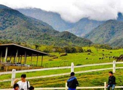 Sabah Naturally + Desa Dairy Farm - Package