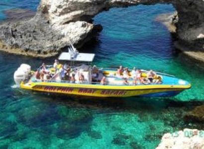 Dolphin Safari  Boat Trip Package