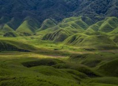 Dzukou Valley Tour
