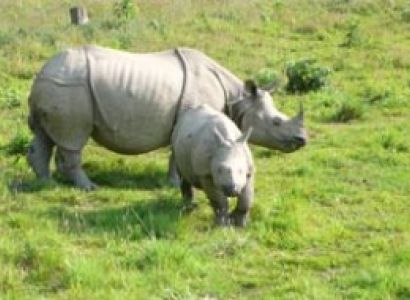 Bardiya National Park Tour Package