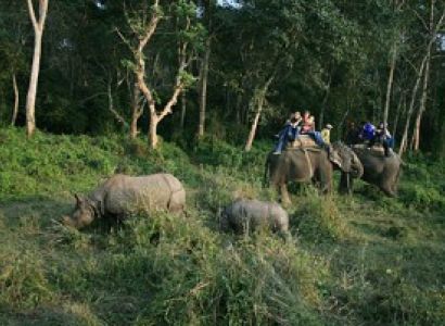 Parsa Wildlife Reserve Package