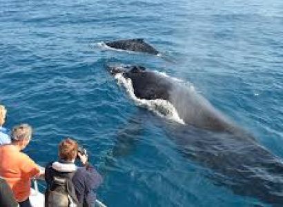 Explore Sri Lanka Package