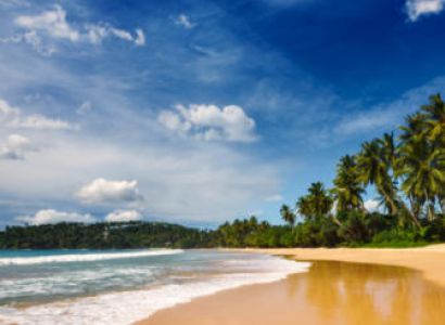 Explore the Paradise Coast Package