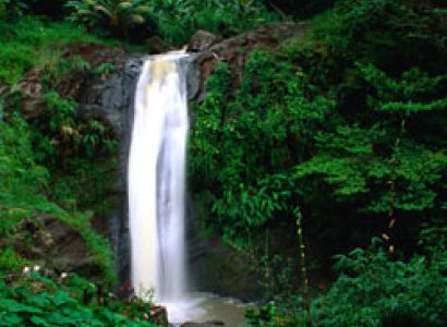 West Coast Tour Half Day Tour Time Package