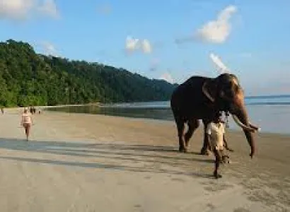 Andaman Tour Including Baratang with Airfare