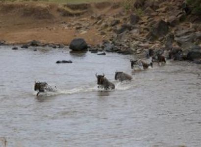 Adventure Safari/ 7 Days Safari