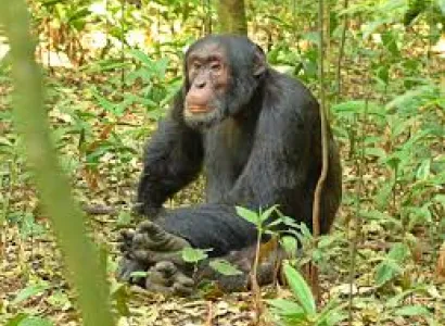 Adventure Safari/ 2 Days Safari