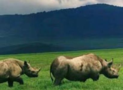 7 Days Kenya Budget Camping Tour In Masai Mara, Amboseli And Lake Nakuru , Lake Naivasha National Pa