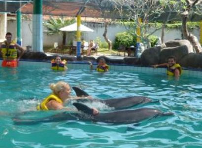 Swim With Dolphin Bali Package