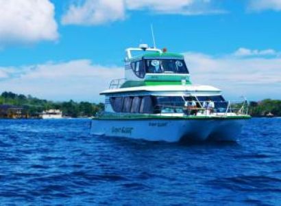 Bounty Dinner Cruise Tour