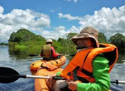 Customized Wildlife Tours