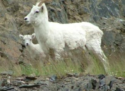 Whittier to Anchorage