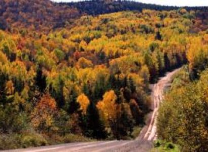 New Brunswick Countryside with Wine Tasting