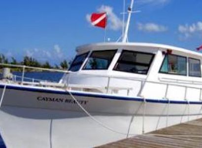 Private Stingray City and Coral Gardens Snorkel Trip Tour