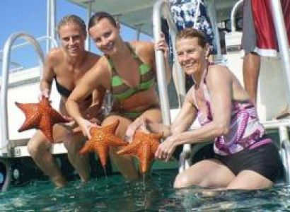 Group Trip - 3 Snorkel Stop - Stingrays, Starfish, Coral Gardens