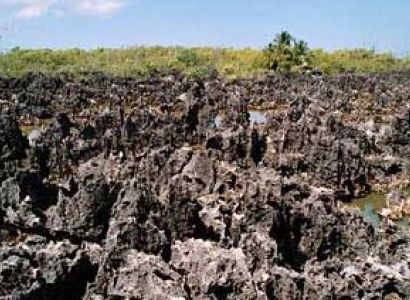 Wheelchair Travelers island Tour