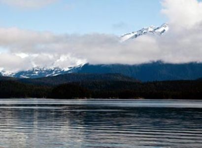 Katmai Bear Trek & Kantishna Fly Over Cruisetour Package