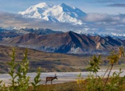 Whittier to Anchorage Bus Tour with Wildlife Park Package