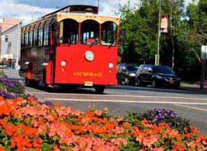 Anchorage City Tour Package