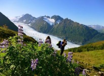 Chugach Royalty Package