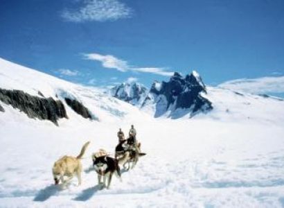 Glacier Adventure, Heli Dog Sledding, & Wildlife Package