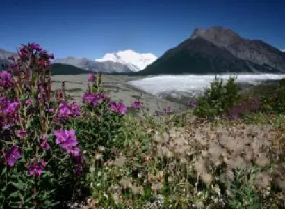 5 Day Donoho Wild Package