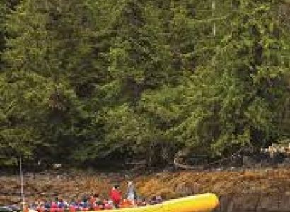 Rainforest Island Adventure Package