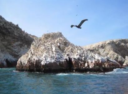 Ballestas Islands Tour Package