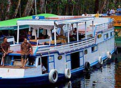 Wild Orang Utan Houseboat Trip Package