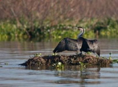 Lake Naivasha, Kenya Package